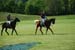 polo_cup144