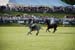 polo_cup159
