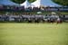polo_cup161