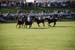 polo_cup165