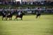 polo_cup166