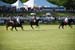 polo_cup168