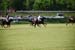 polo_cup169
