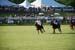polo_cup171