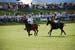polo_cup173