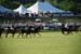 polo_cup174