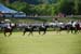 polo_cup175