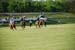 polo_cup176