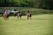 polo_cup177