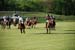 polo_cup178