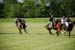 polo_cup180