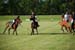 polo_cup181