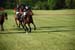 polo_cup183
