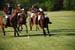 polo_cup184