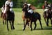 polo_cup185