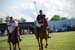 polo_cup186